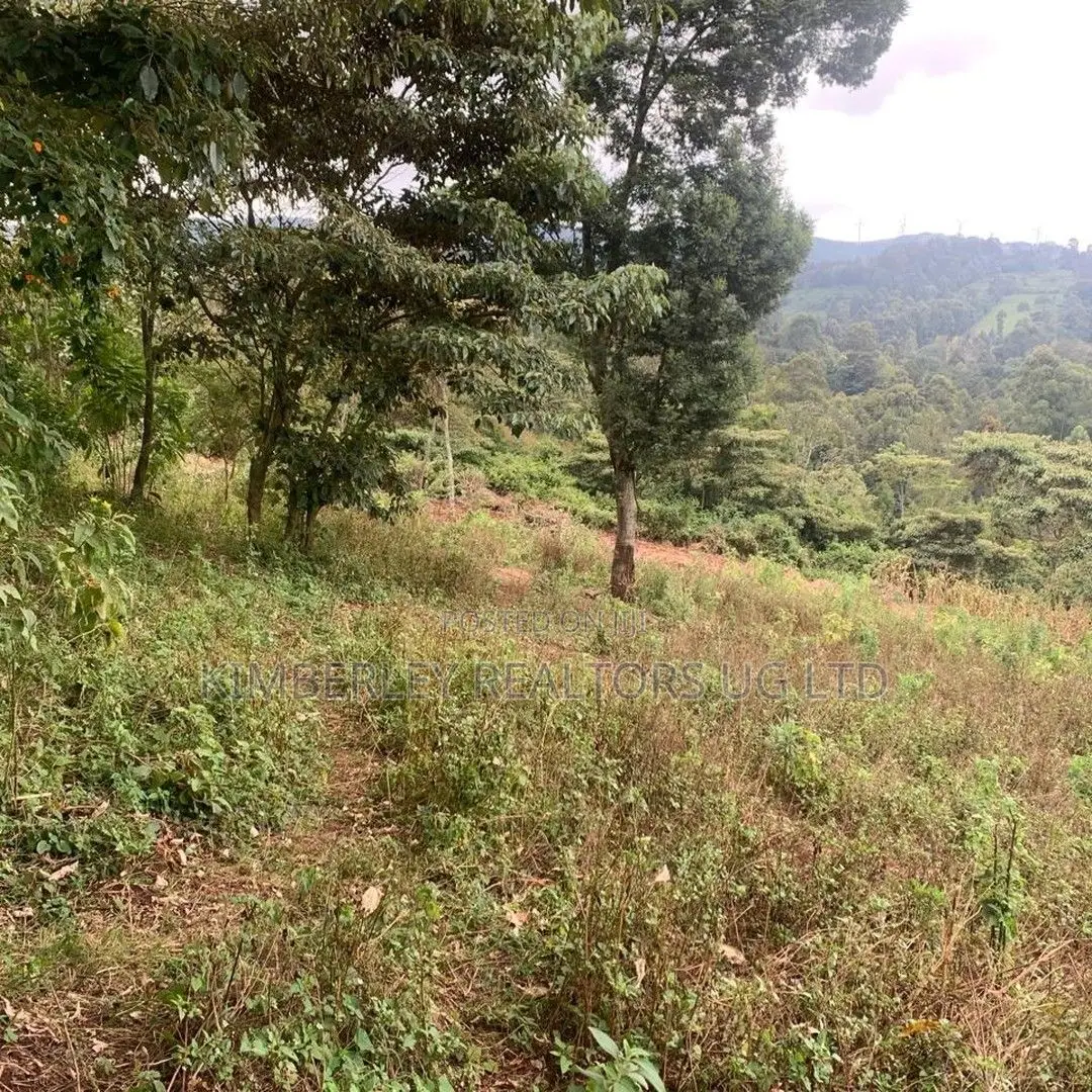 Quick Sale Plot – Jomayi Nalumunye in Division A