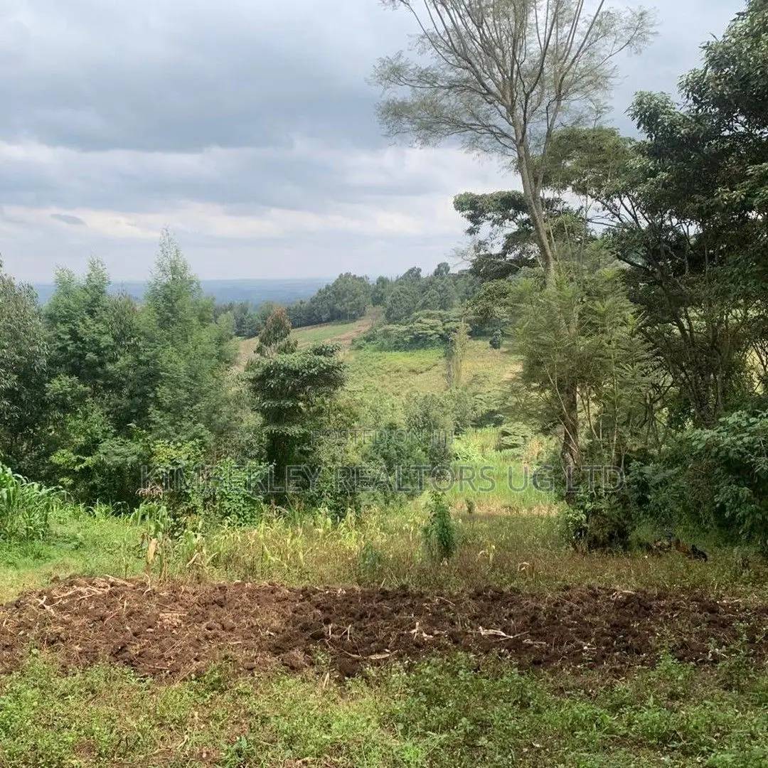 Quick Sale Lake View Plots – Bwebajja in Division A