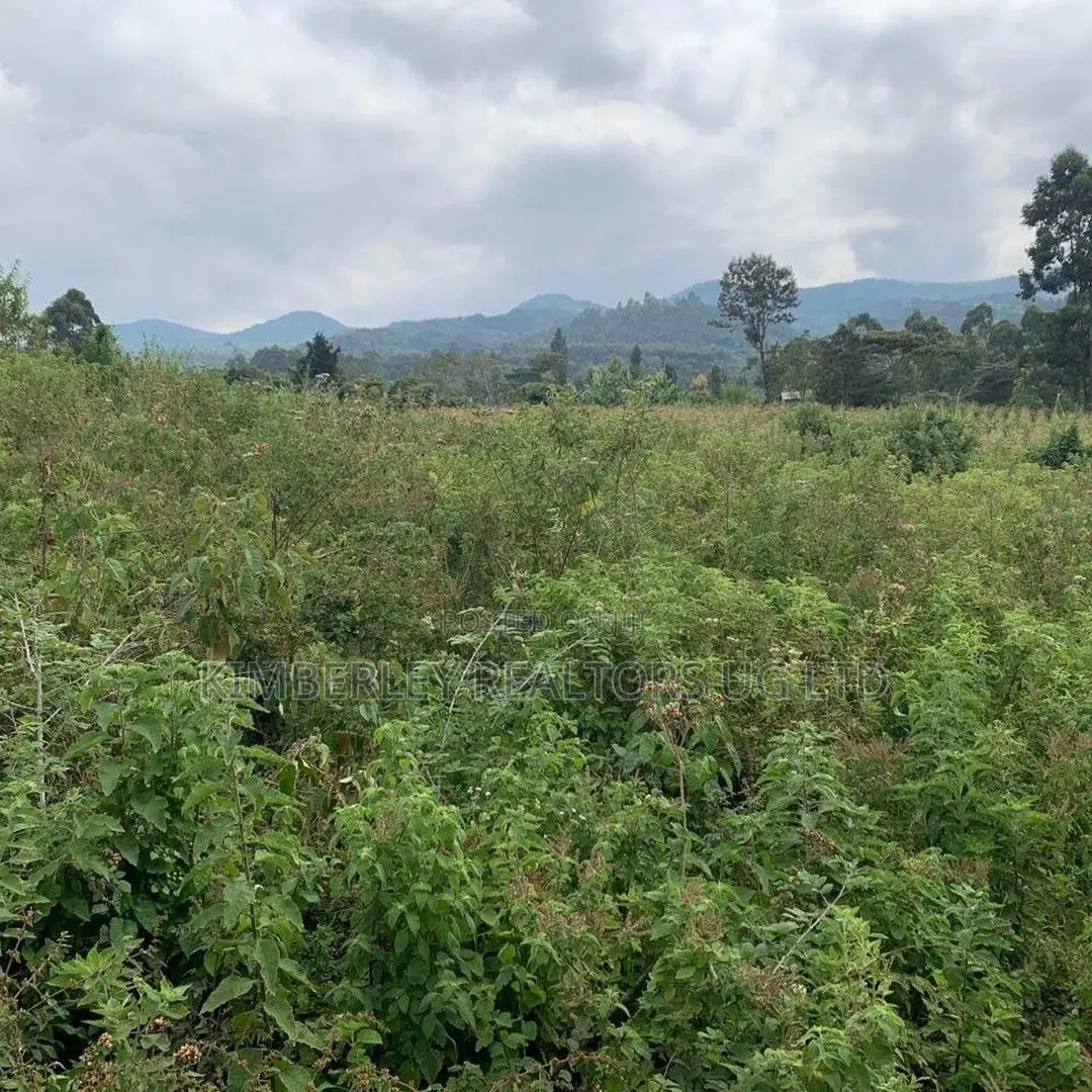 Quick Sale Land – Namataba in Division A