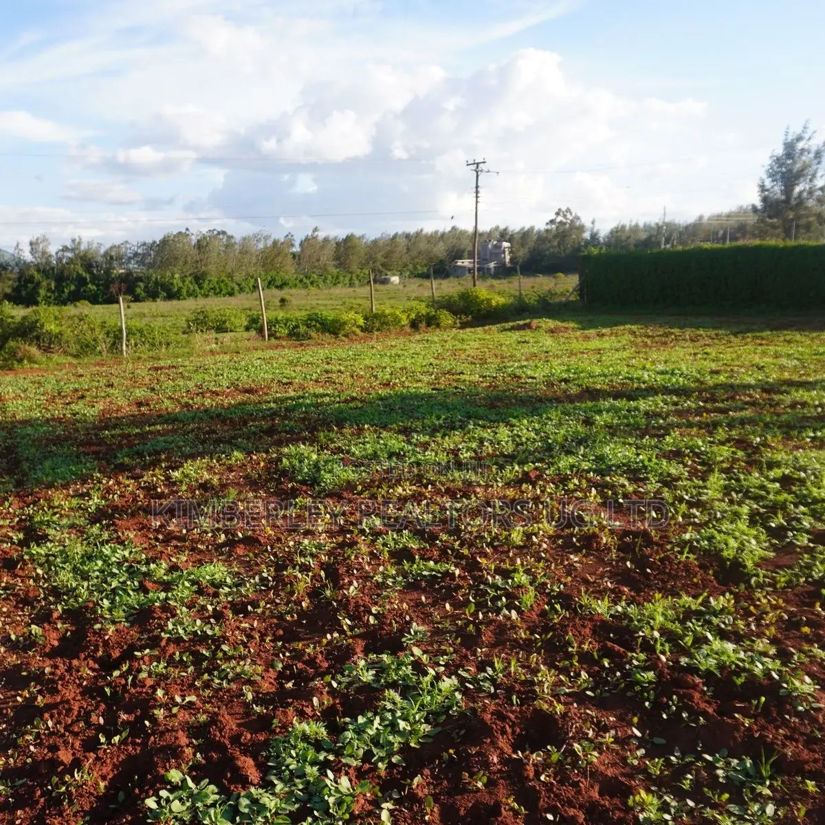 Quick Sale Plots – Munyonyo / Kigo in Central Division