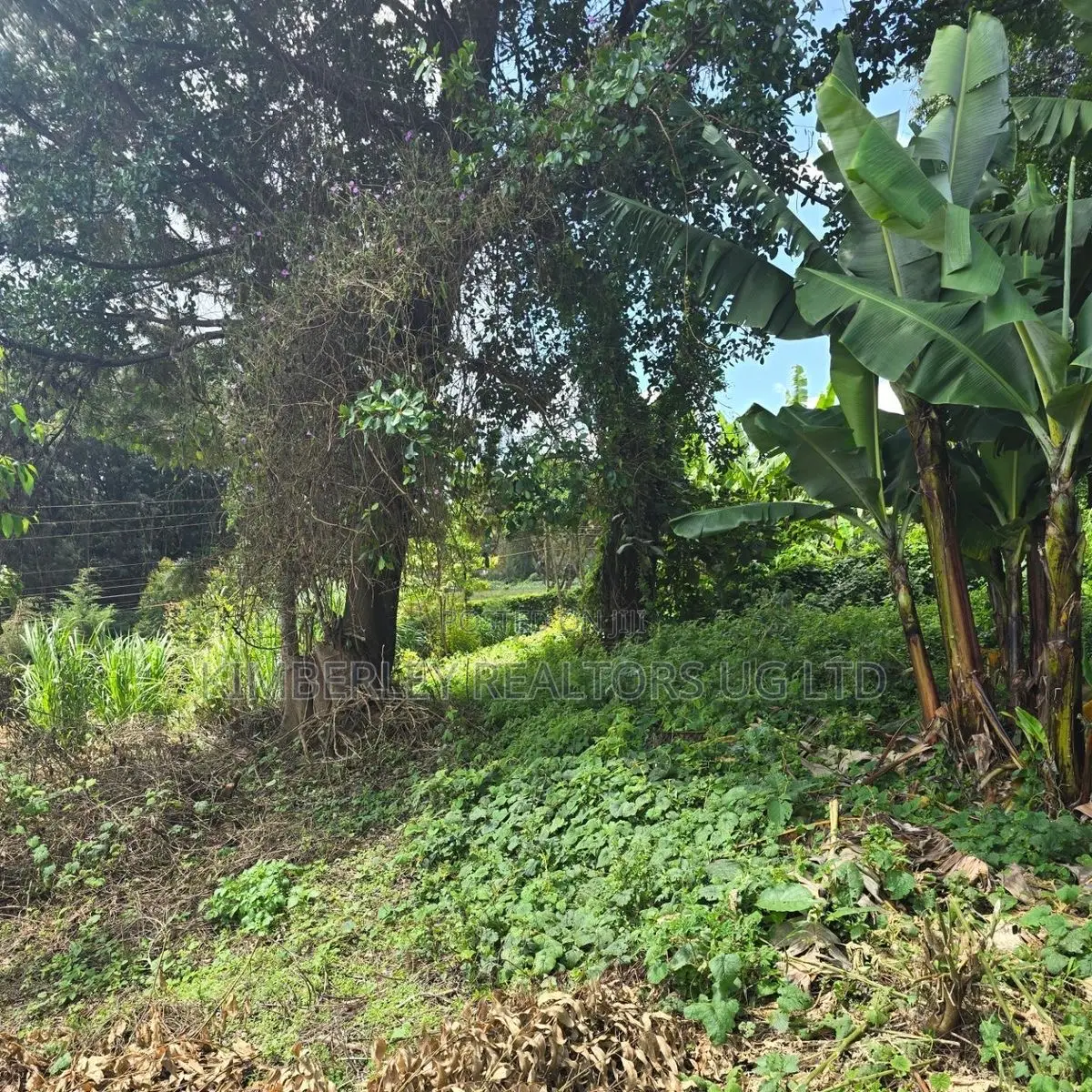 Quick Sale Plots – Munyonyo / Kigo in Central Division