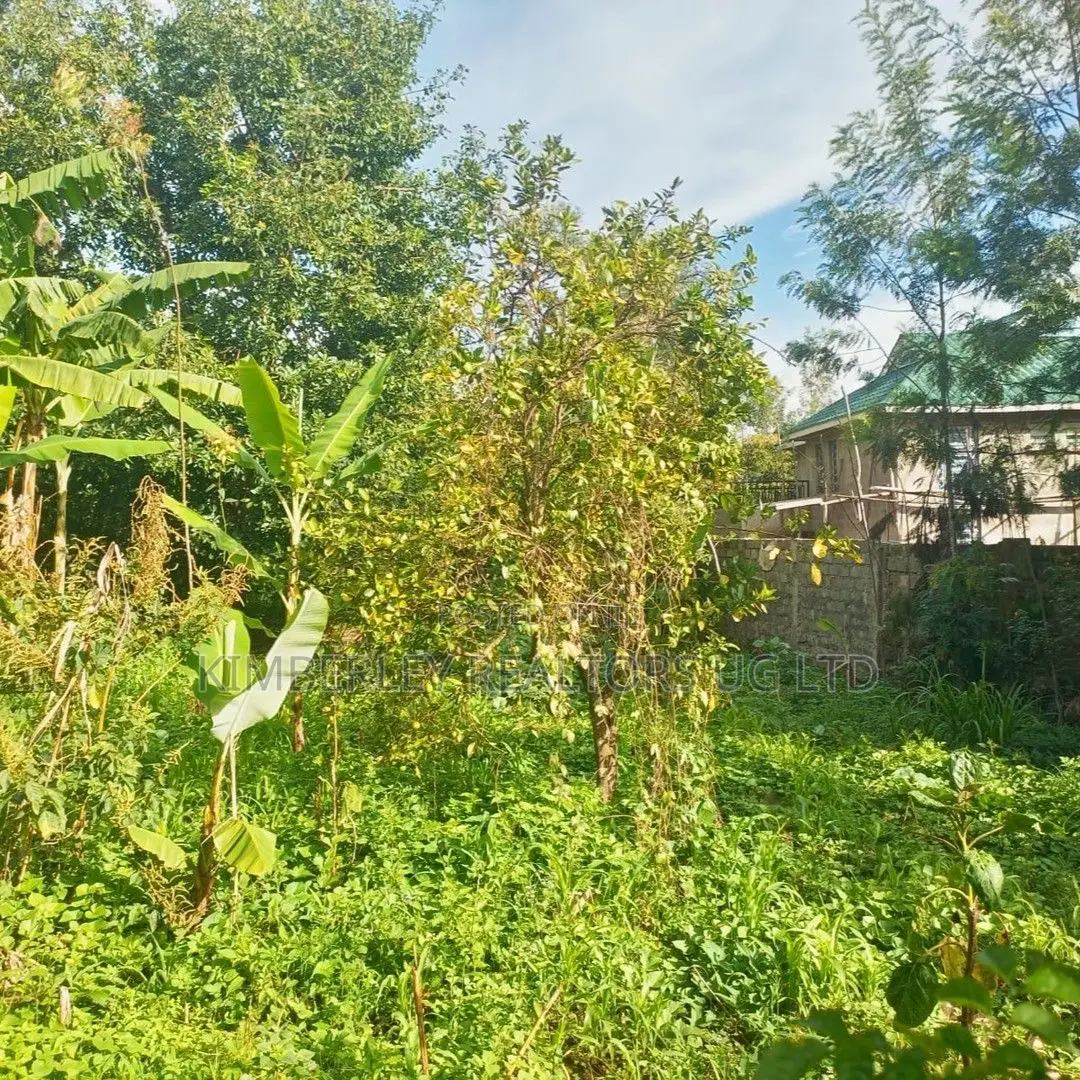 Quick Sale Plot – Lweza in Division A