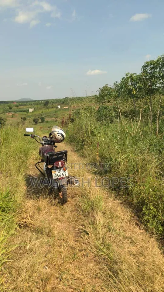 Land for Sale in Nangabo