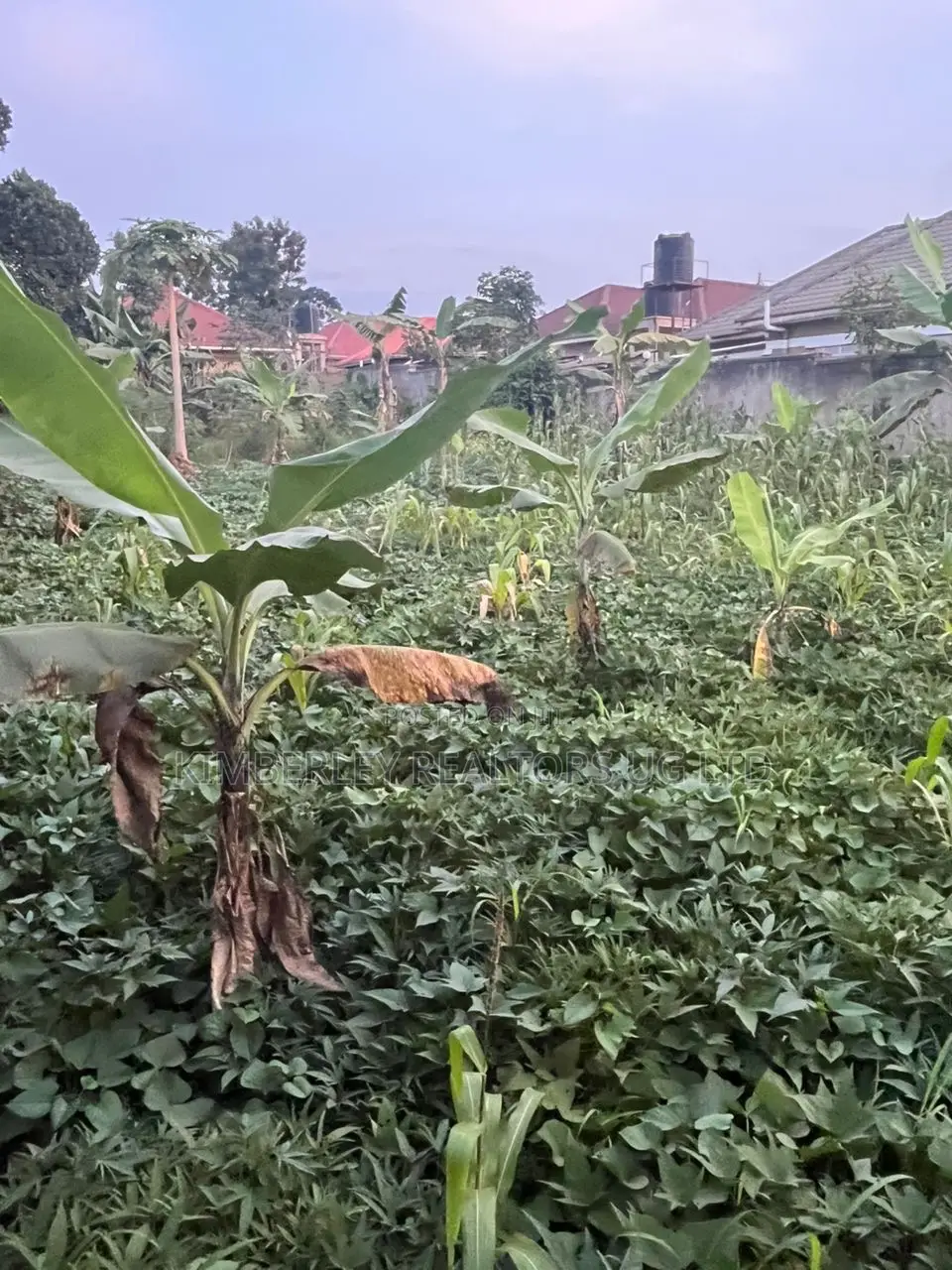 Commercial Plot For Sale – Seguku Katale in Division A