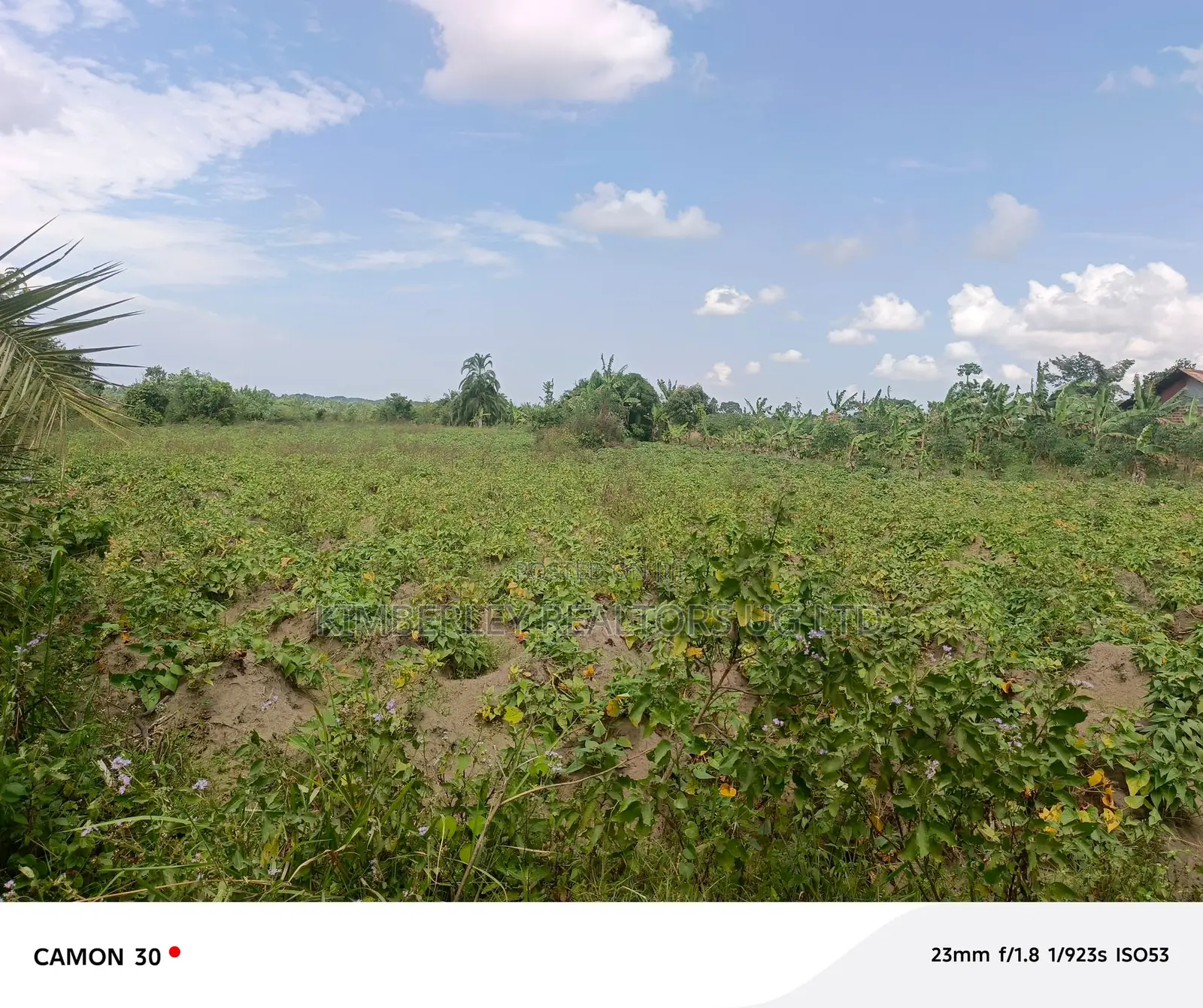 Commercial Land for Sale – Masaka Road in Bukakata
