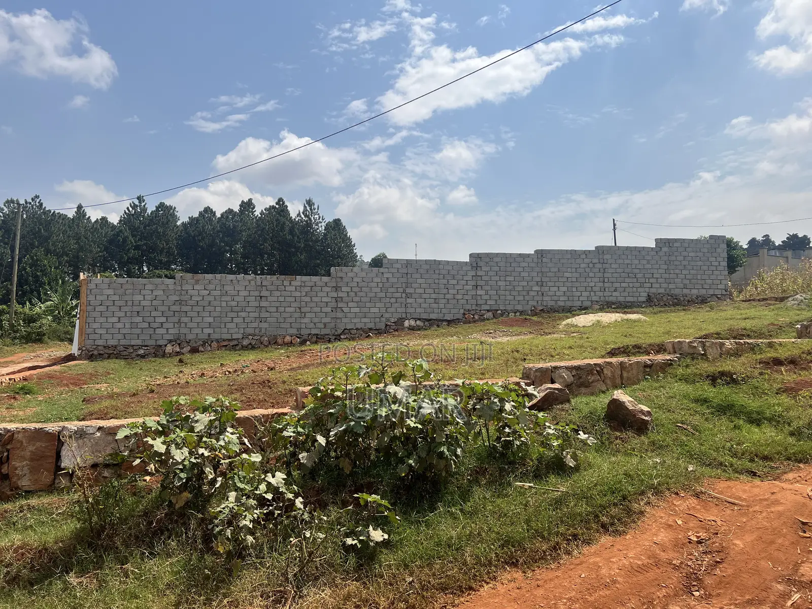50*50 Plot for Sale in Katale in Central Division