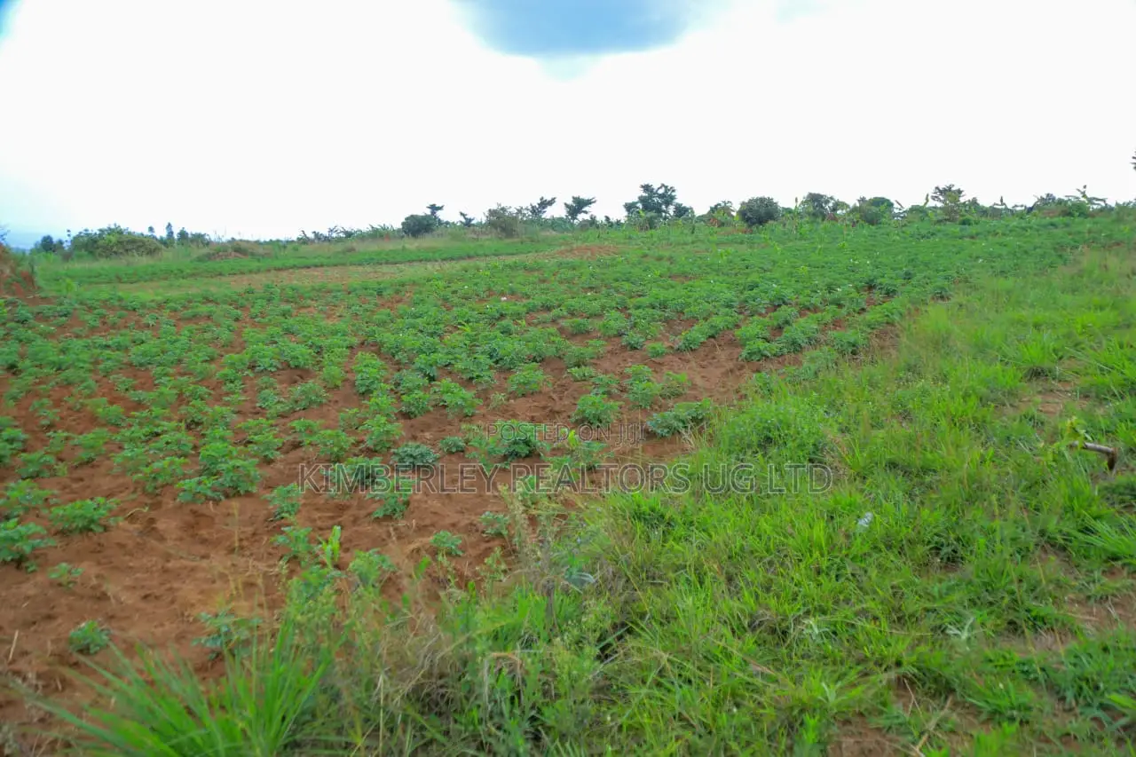 Land for Sale – Kapeeka in Division A