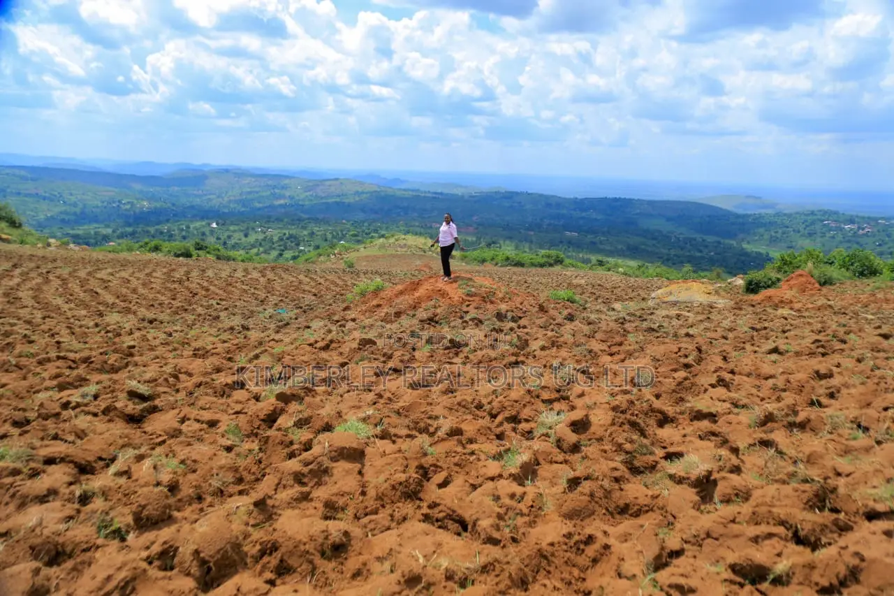Commercial Land for Sale – Nakasajja in Mukono TC