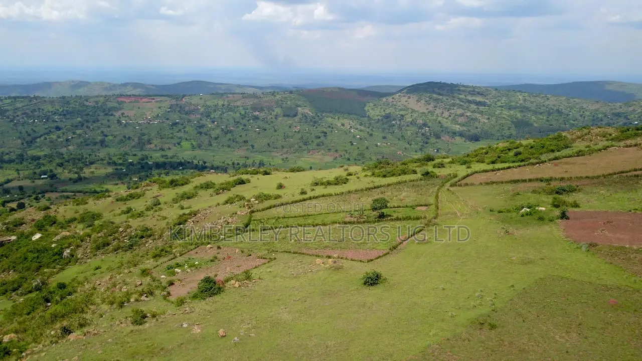 Land for Sale – Bukomero Bulaga (Hoima Road) in Kassanda