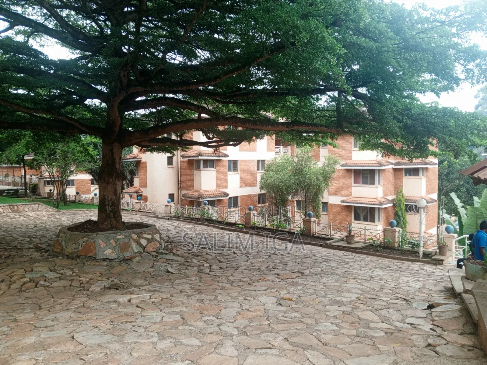 Furnished 2bdrm Apartment in Kololo Property, Central Division for rent in Central Division