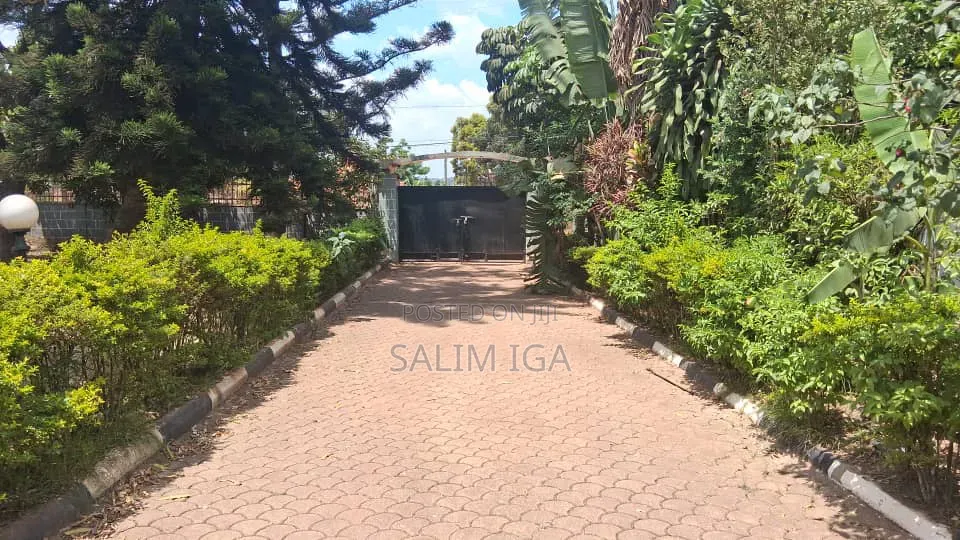 4bdrm Duplex in Kololo Property, Central Division for rent in Central Division