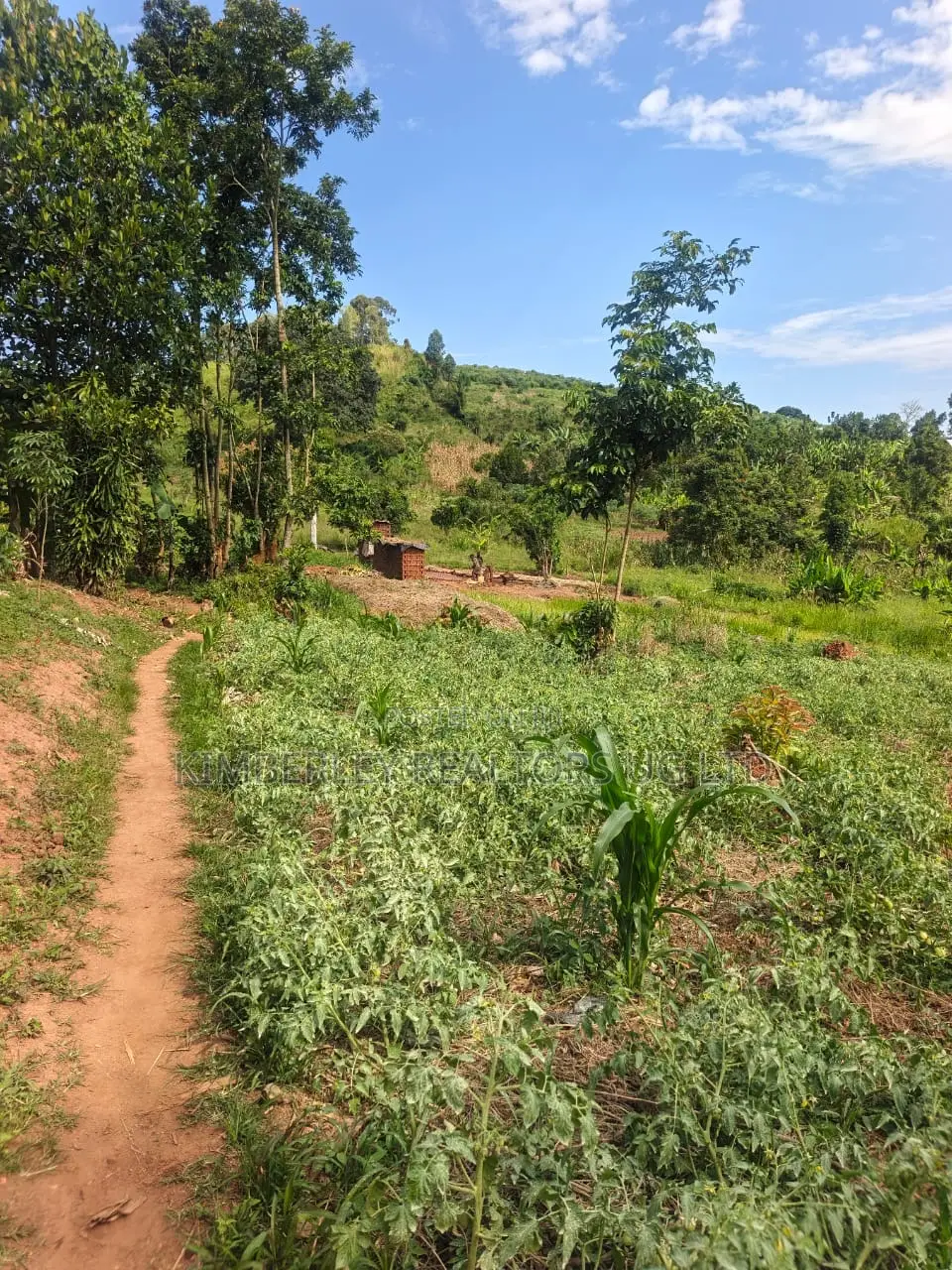 Estate Plot for Sale – Hoima Road in Division A