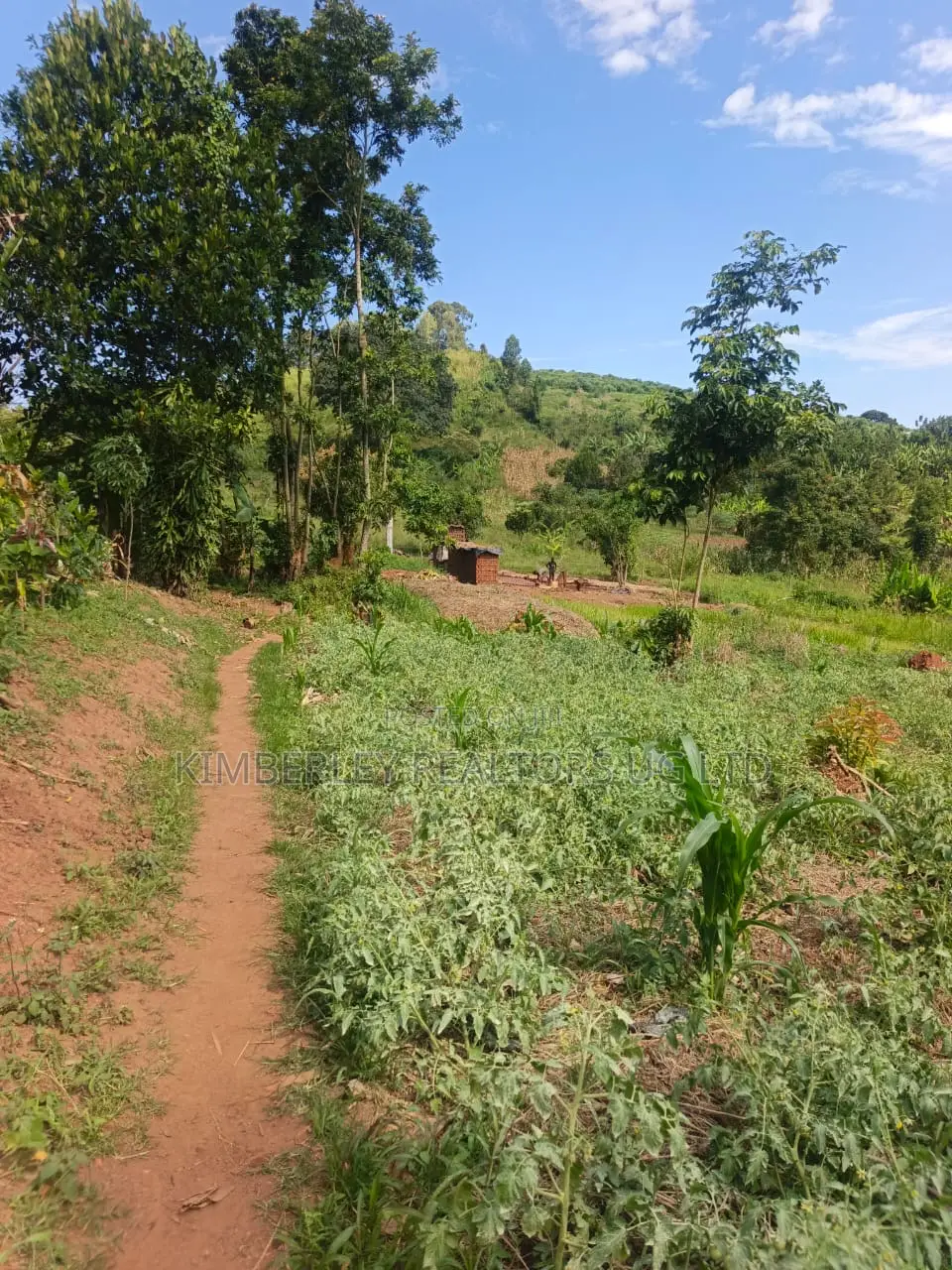 Estate Plot for Sale – Hoima Road in Division A