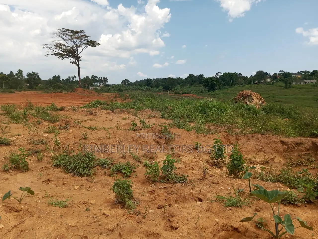 Residential Plot for Sale – Kira in Division A