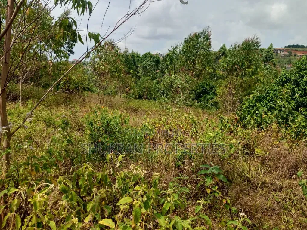 Land for Sale in Central Division