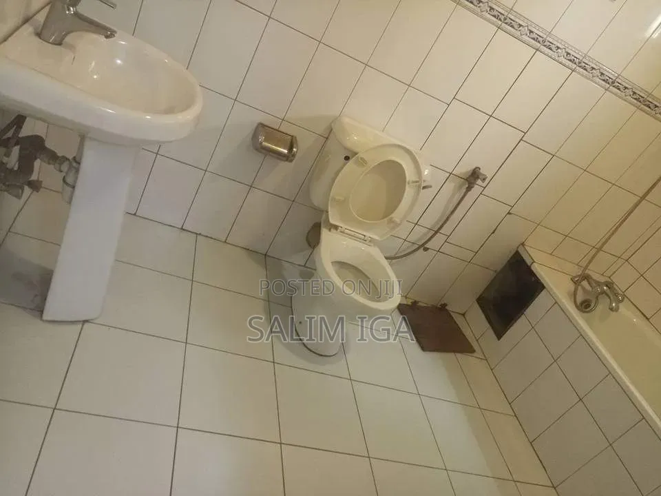 2bdrm Apartment in Kololo Property, Central Division for rent in Central Division