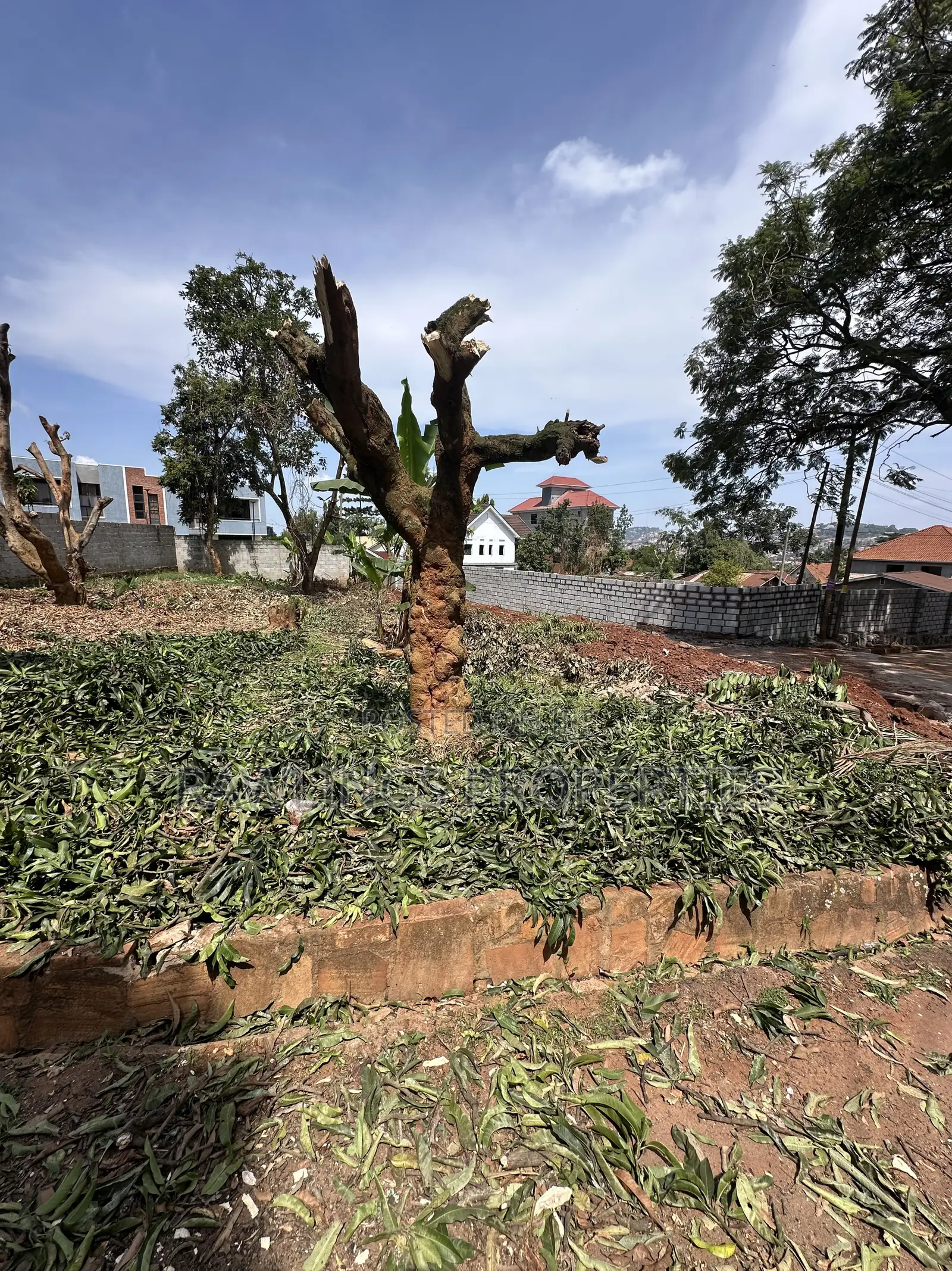 11 Decimal Residential Plot for Sale in Kiwafu Kansanga in Makindye