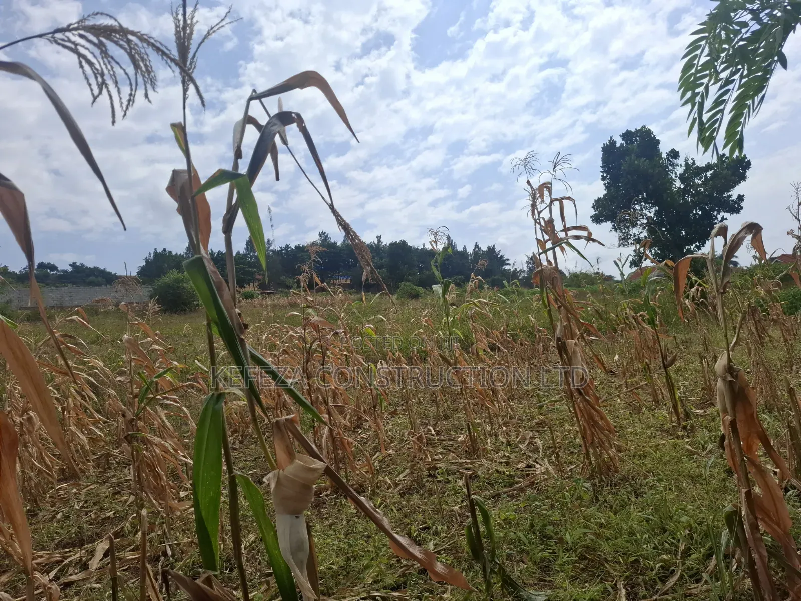 4acres for Sale in Rubaga
