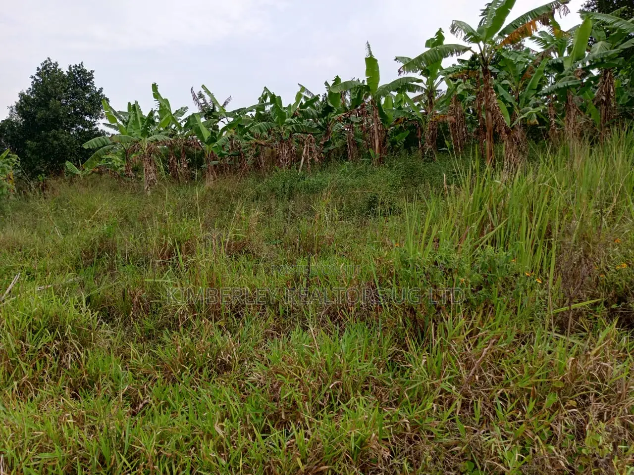Wakiso Gobero Muguluka Estate – Plots for Sale in Division A