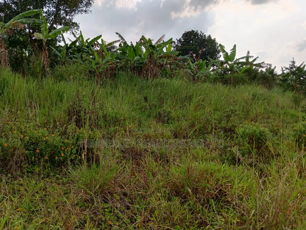 Wakiso Gobero Muguluka Estate – Plots for Sale in Division A