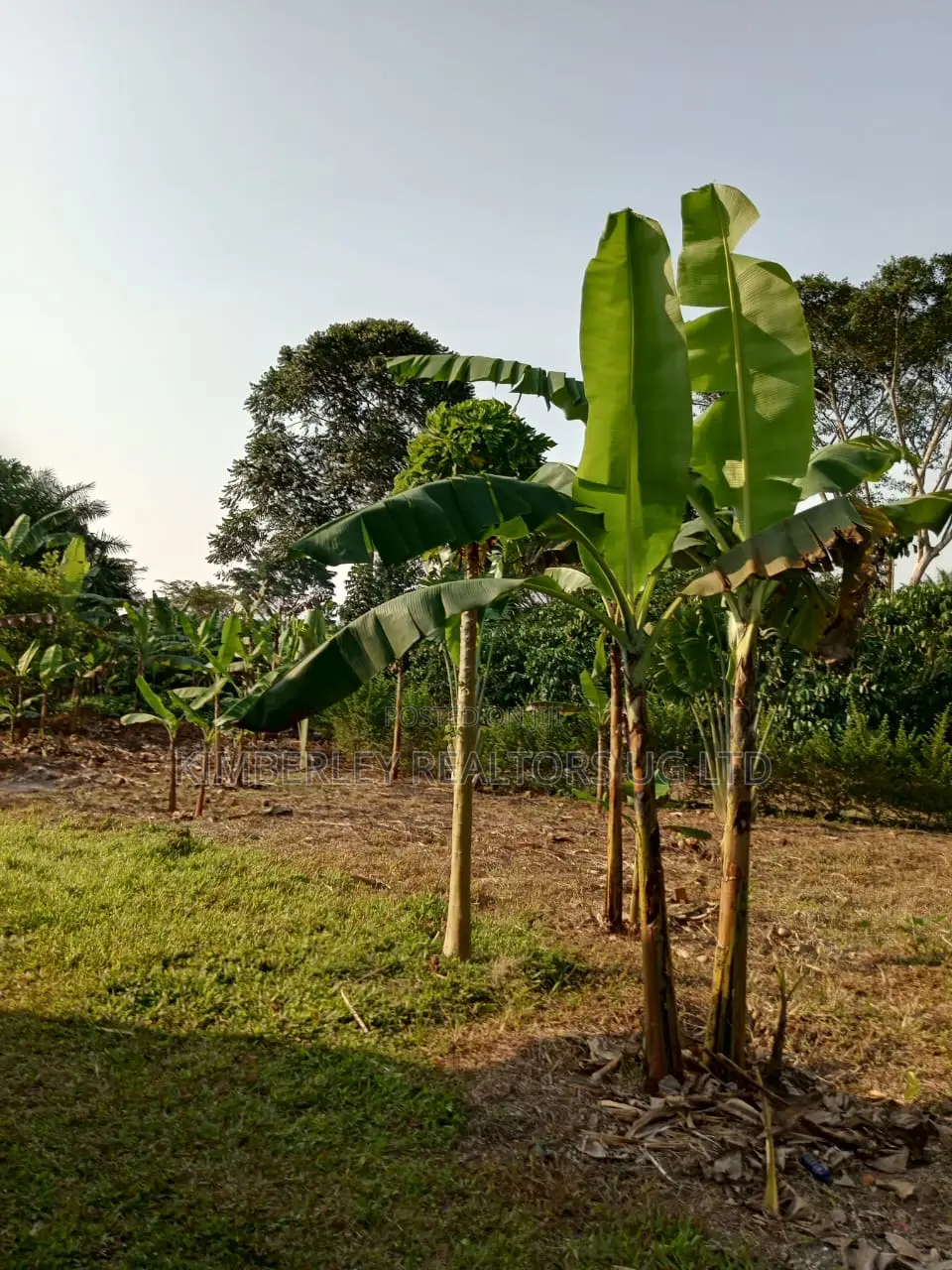 Wakiso Mwera Town Estate – Plots for Sale in Wakiso / Wakiso
