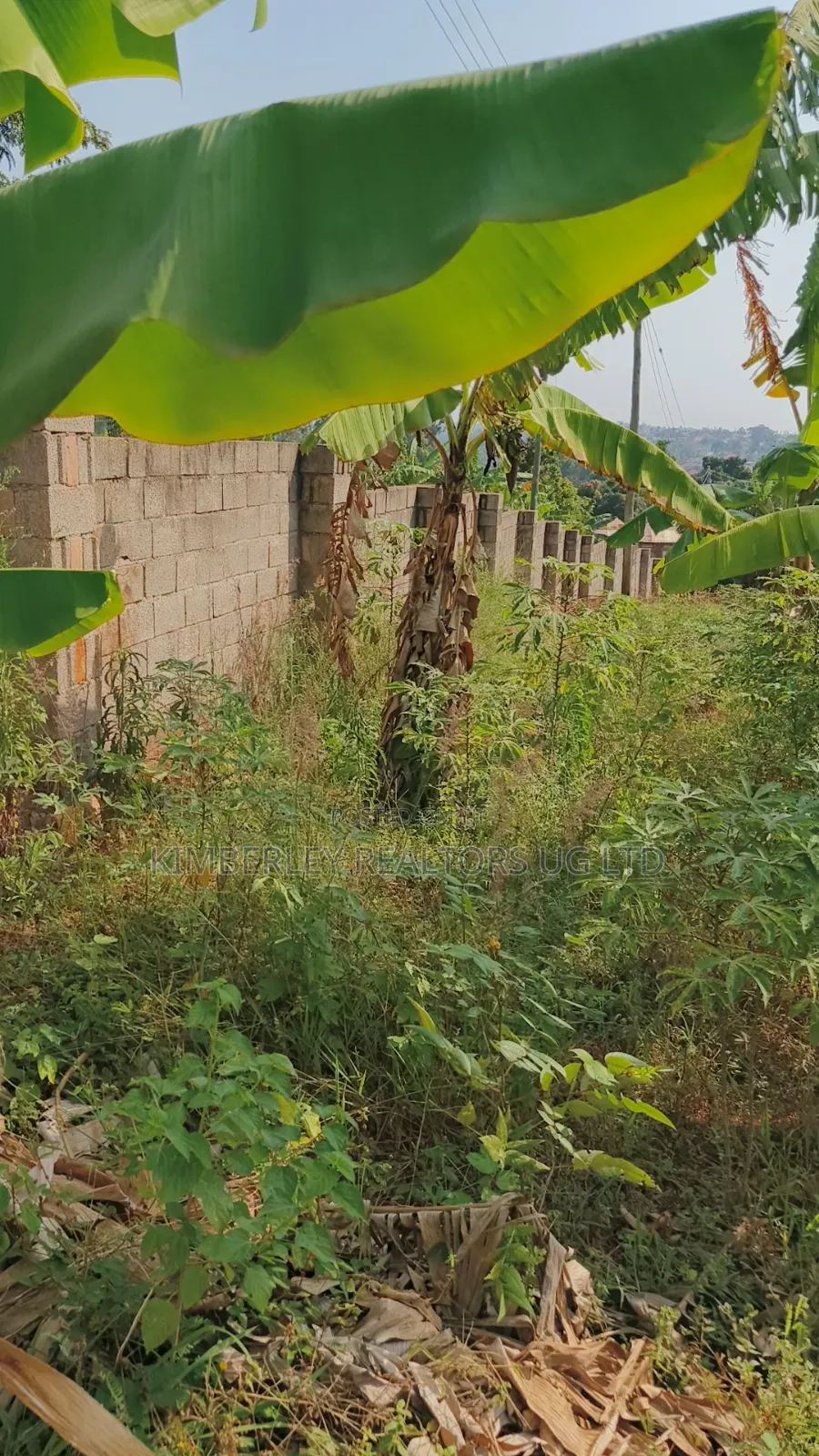 Lakeview Bwerenga Entebbe Road 1⁄2 Acre for Sale in Division A