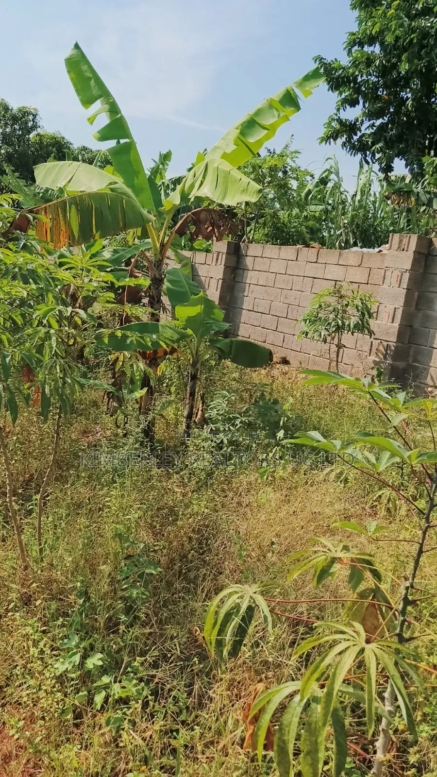 Lakeview Bwerenga Entebbe Road 1⁄2 Acre for Sale in Division A