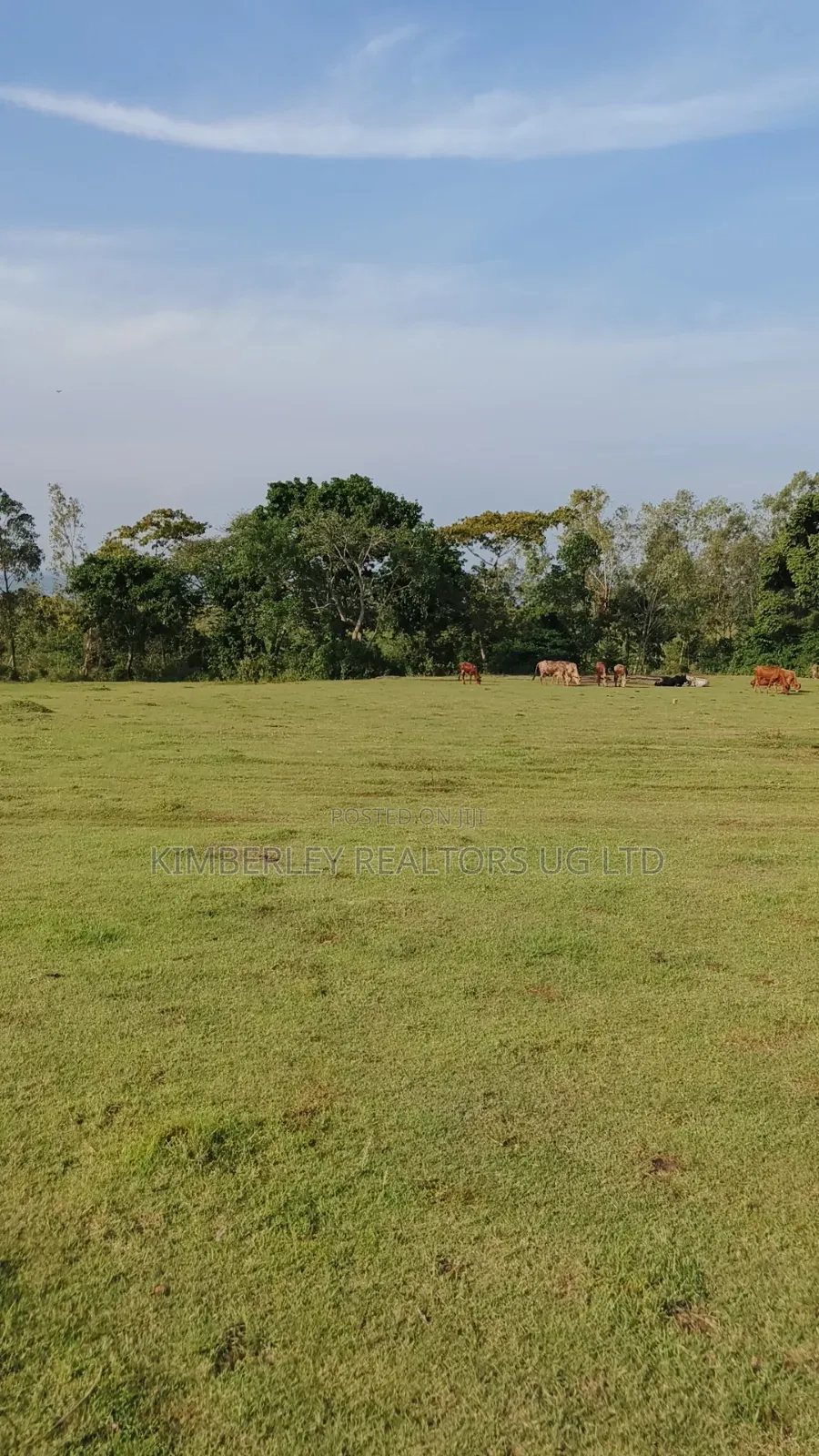 Entebbe Road – Bwerenga 1⁄4 Acre (Lake View) for Sale in Division A