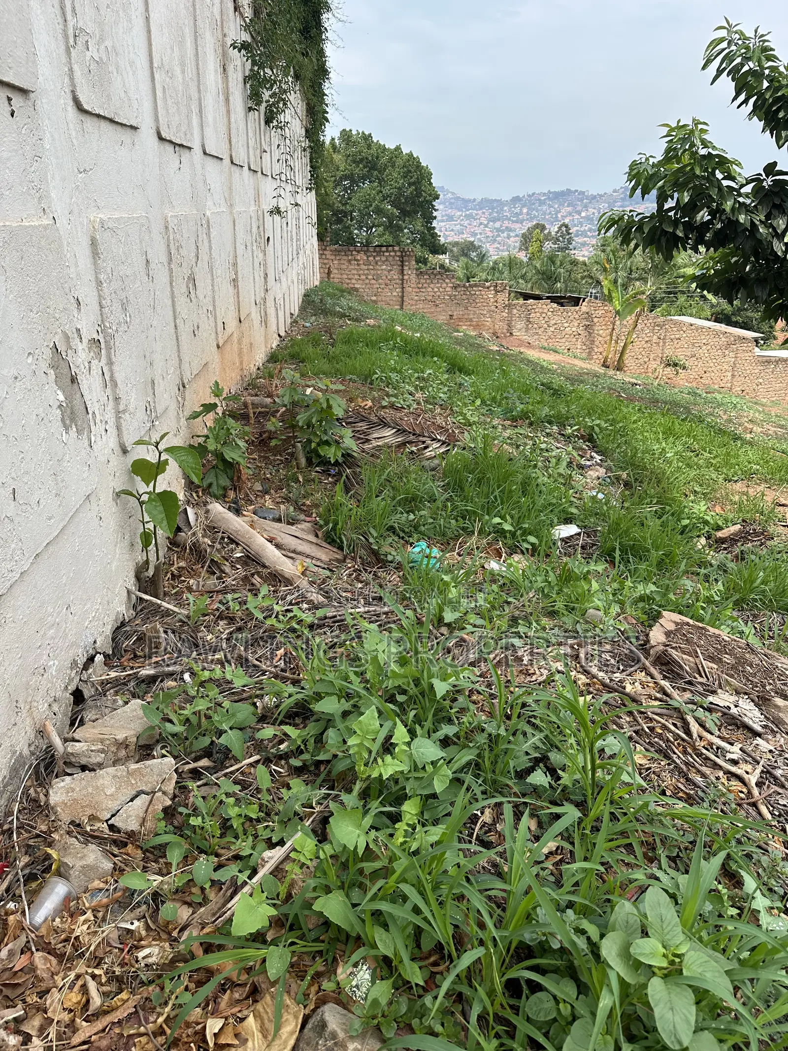 23 Decimal Plot for Sale in Muyenga at 900 Million in Makindye
