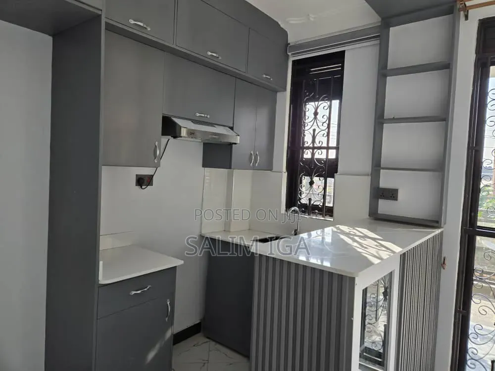 1bdrm Apartment in Kololo Property, Central Division for rent in Central Division