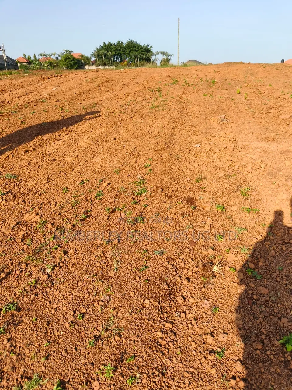 7 Acres for Sale – Luweero Wabigali (After Buzibwera) in Luwero / Luwero