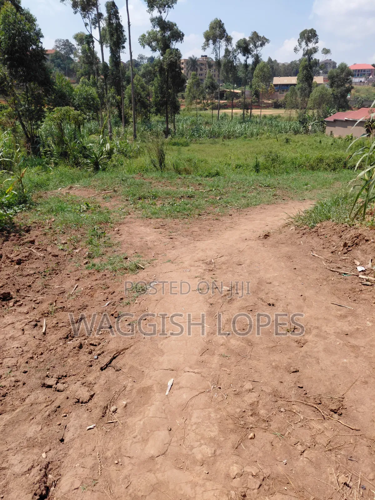 Land for Sale With Genuine Title in Wakiso / Wakiso