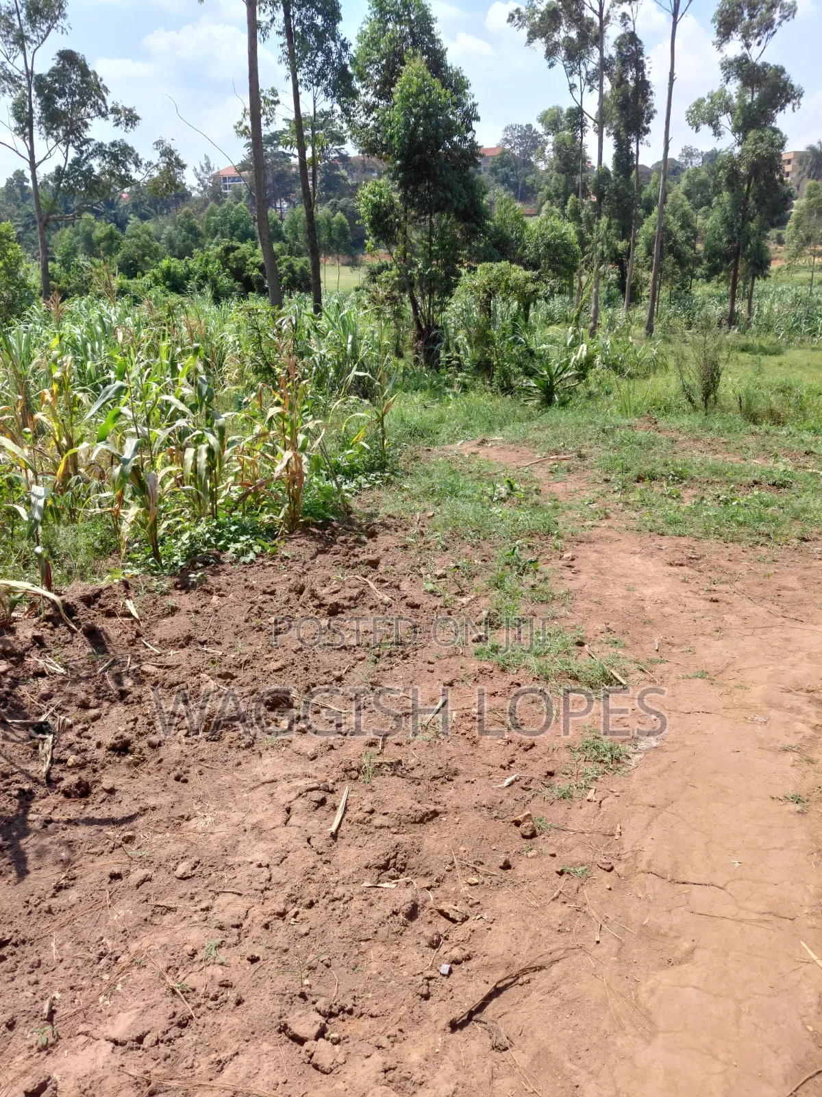 Land for Sale With Genuine Title in Wakiso / Wakiso