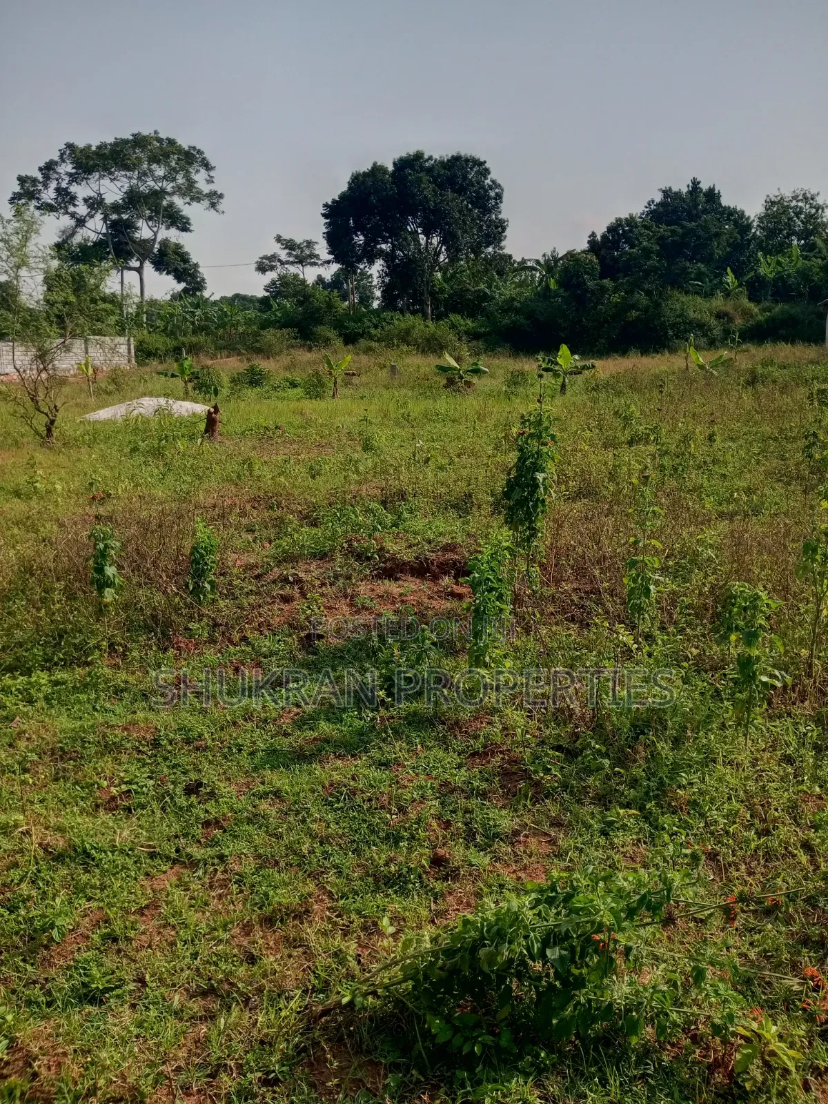 Lake View Plot for Sale in Central Division