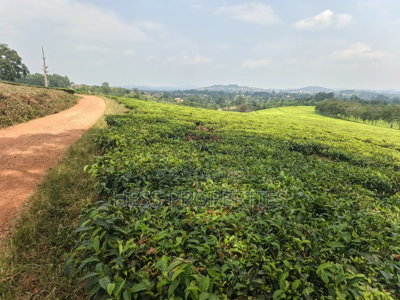 Commercial Land on Sale Located in Kyenjojo in Kyenjojo