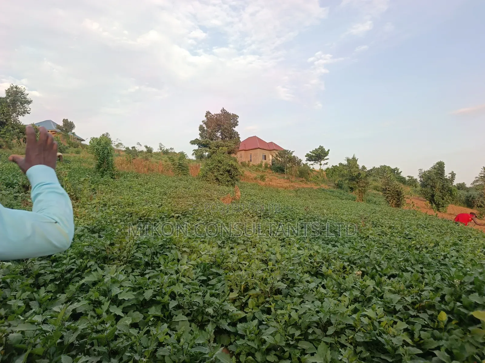 Half Acre of Land in Matuga Town Bombo Road in Central Division