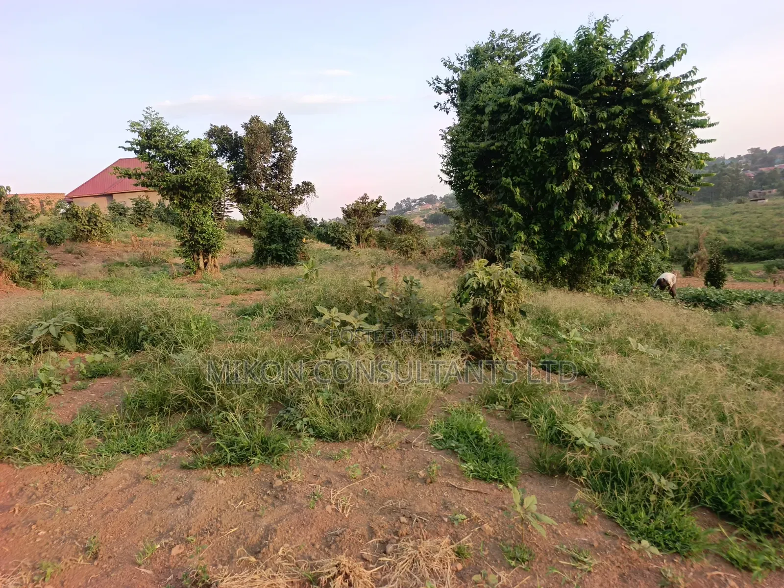 Half Acre of Land in Matuga Town Bombo Road in Central Division