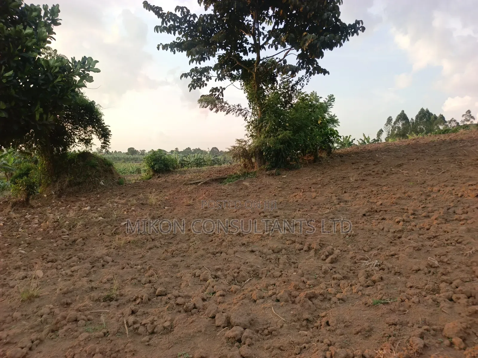 Half Acre of Land in Matuga Town Bombo Road in Central Division