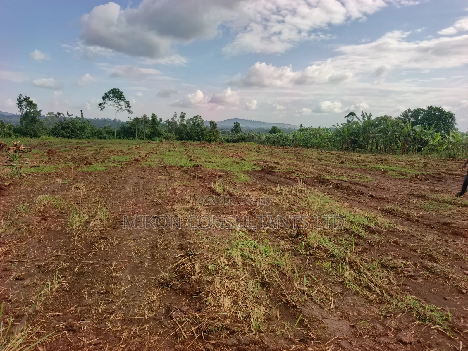 50 by 100 FTS Plots in Matuga Kavule in Central Division