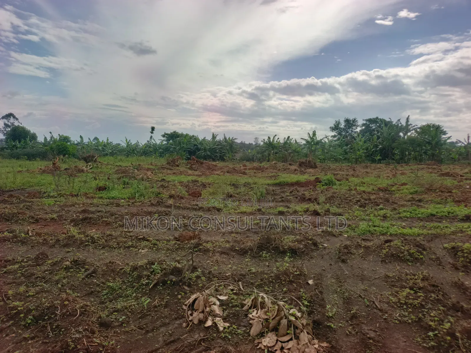 50 by 100 FTS Plots in Matuga Kavule in Central Division