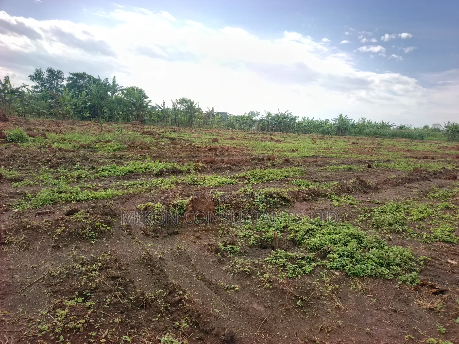 50 by 100 FTS Plots in Matuga Kavule in Central Division
