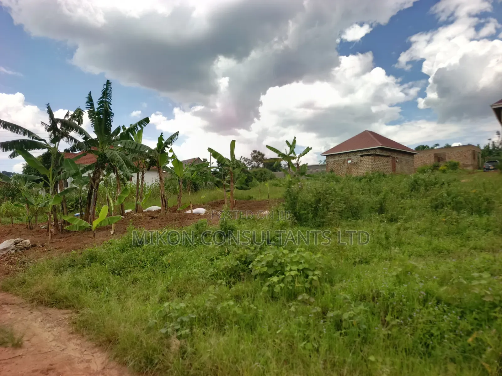 A Hot Cake Plot in Matuga Sanga With a Title in Central Division