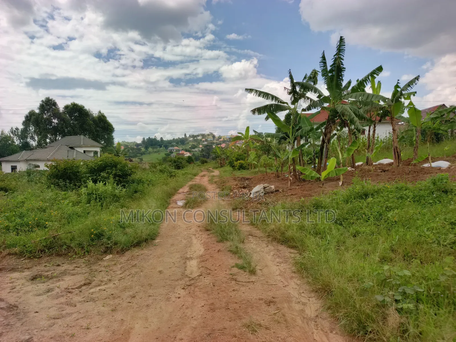 A Hot Cake Plot in Matuga Sanga With a Title in Central Division