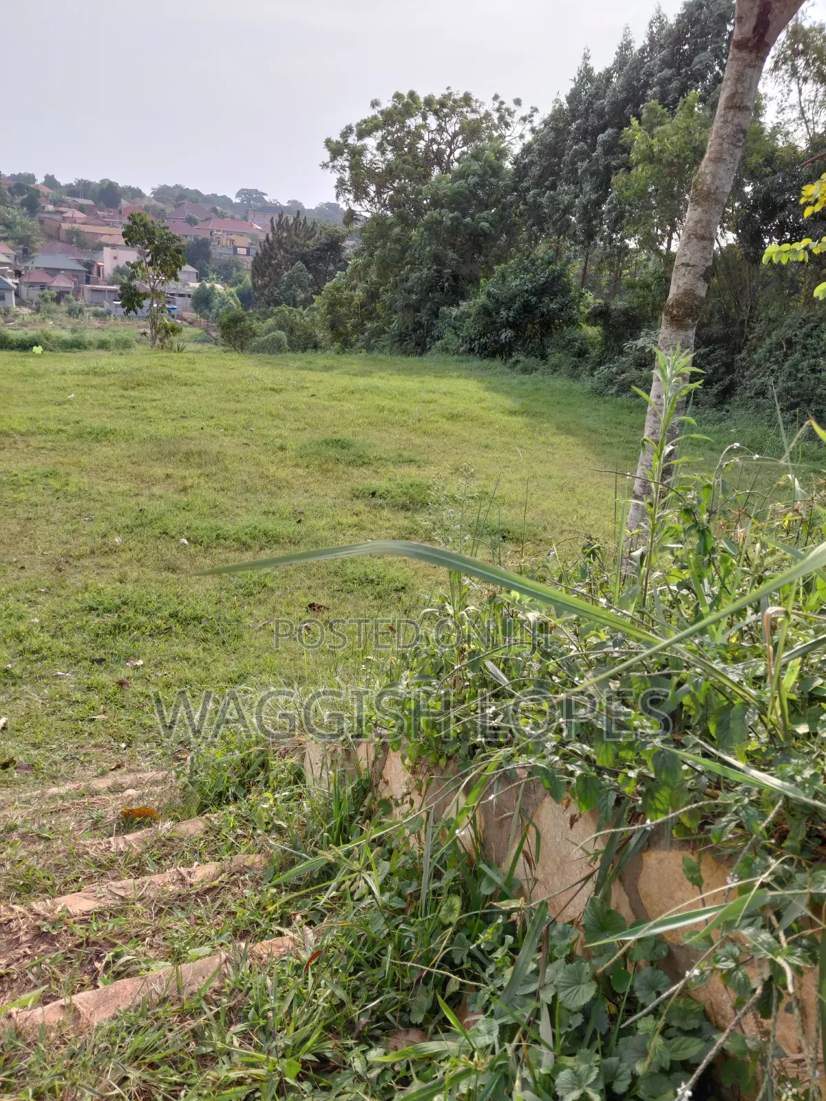 Land and Plots for Sale Genuine Title in Wakiso / Wakiso