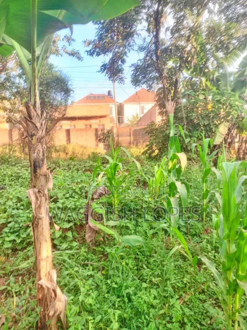 Land and Plots for Sale Genuine Title in Wakiso / Wakiso