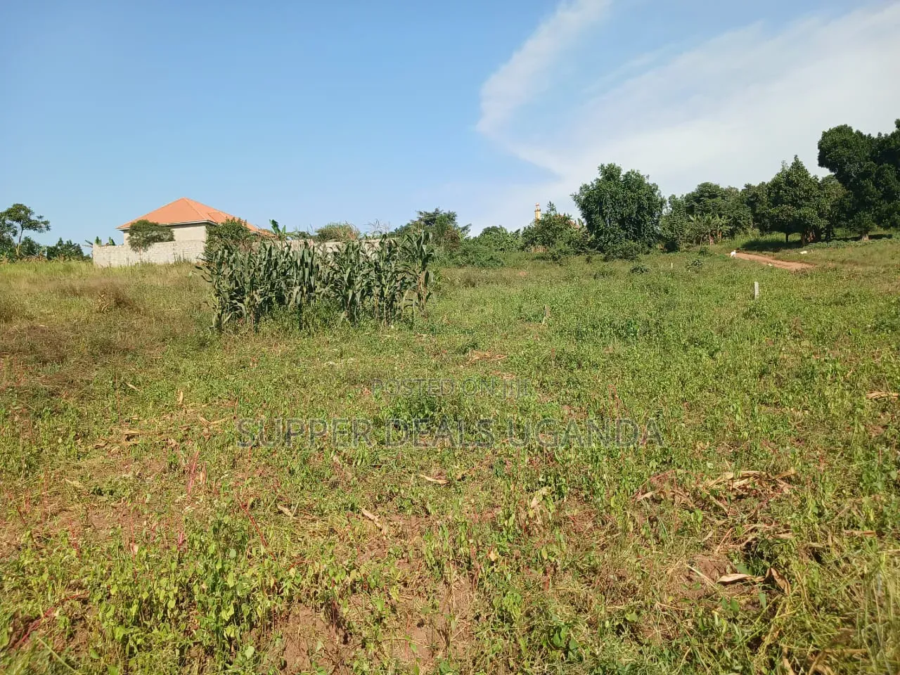 50 Acres for Sale in Gayaza in Nakawa