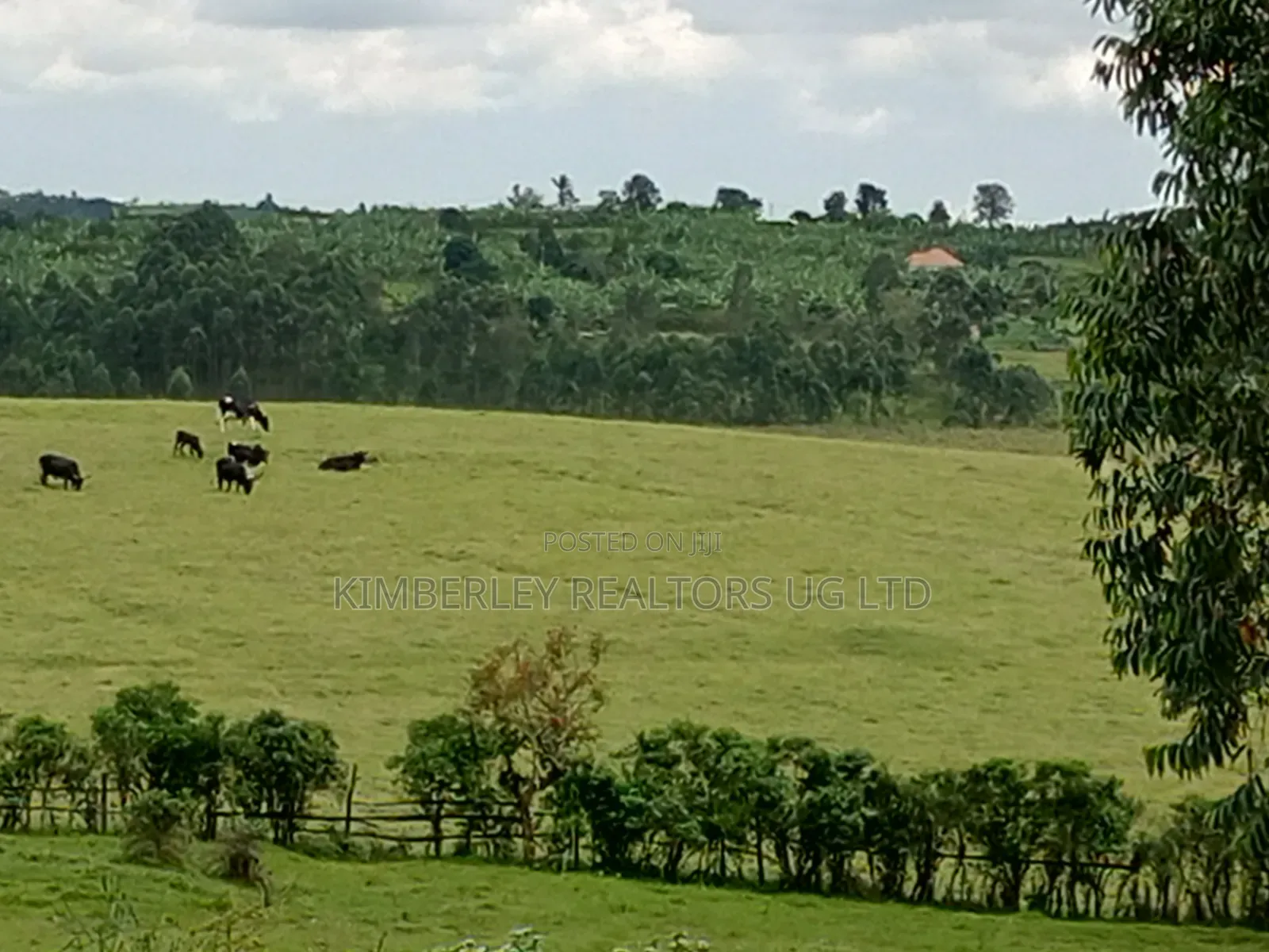 Kabare Beach For Sale (Lake Bunyonyi) in Kabale