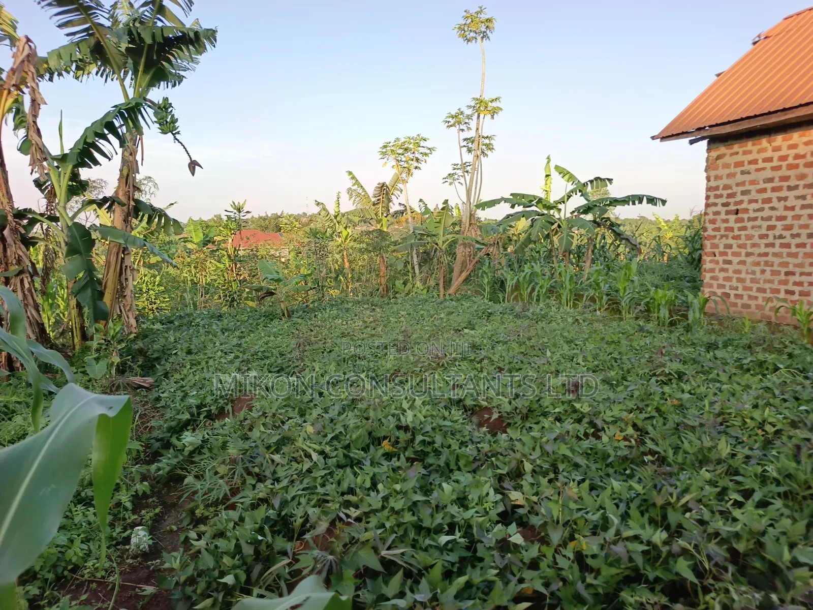 25 by 50 FTS Plot in Matuga Kavule in Central Division