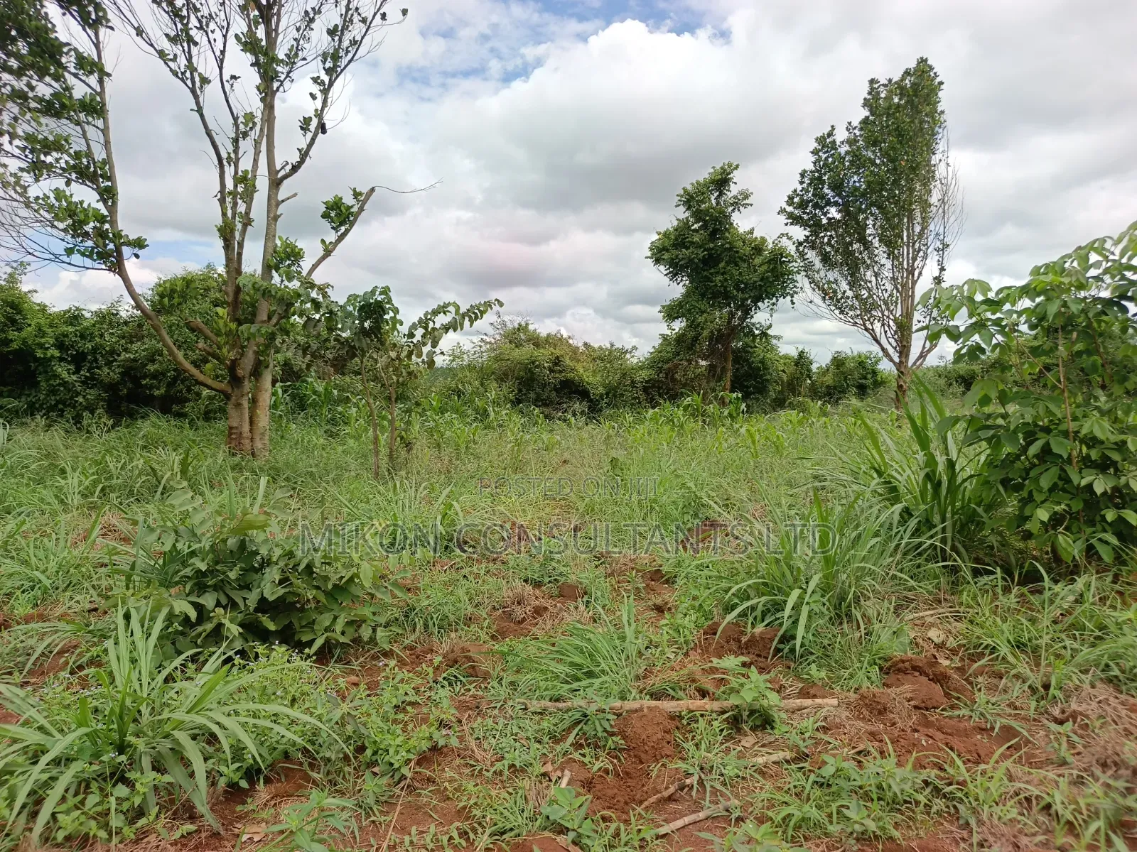 10 Acres of Land in Kabunyata After Kikyusa Luwero District in Central Division