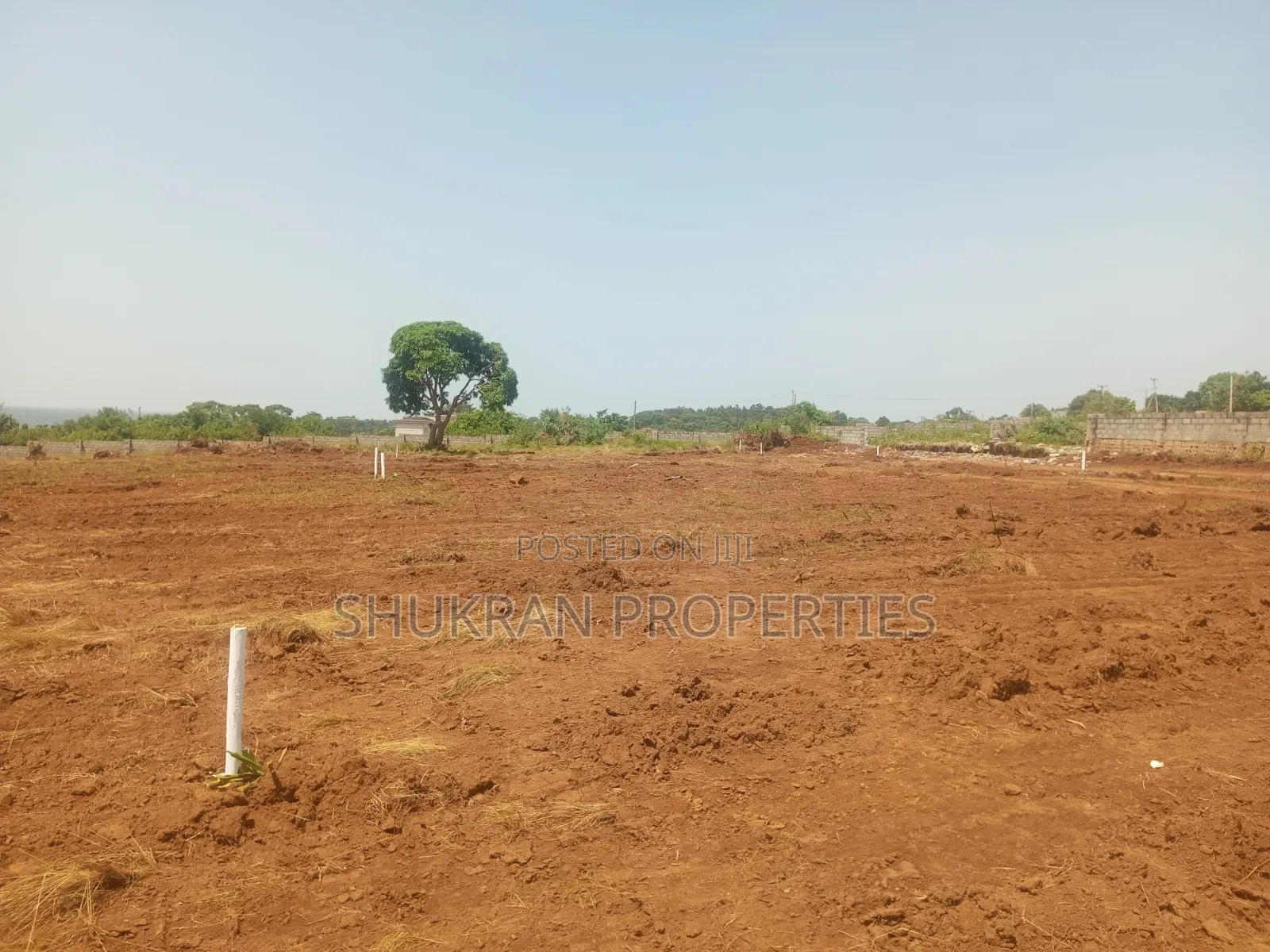 Lake View Plots in Central Division